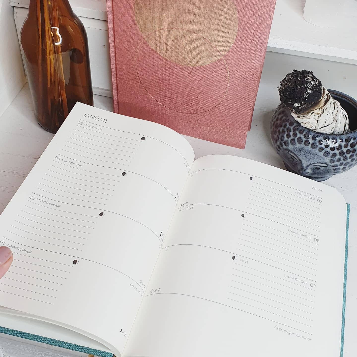 Tungl Dagbók - bleik