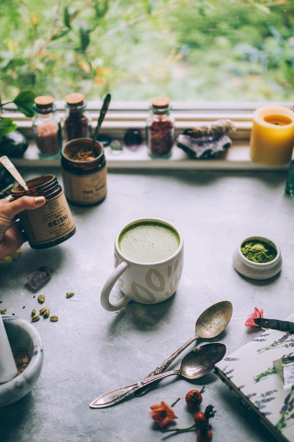 Reishi - Fountain of youth