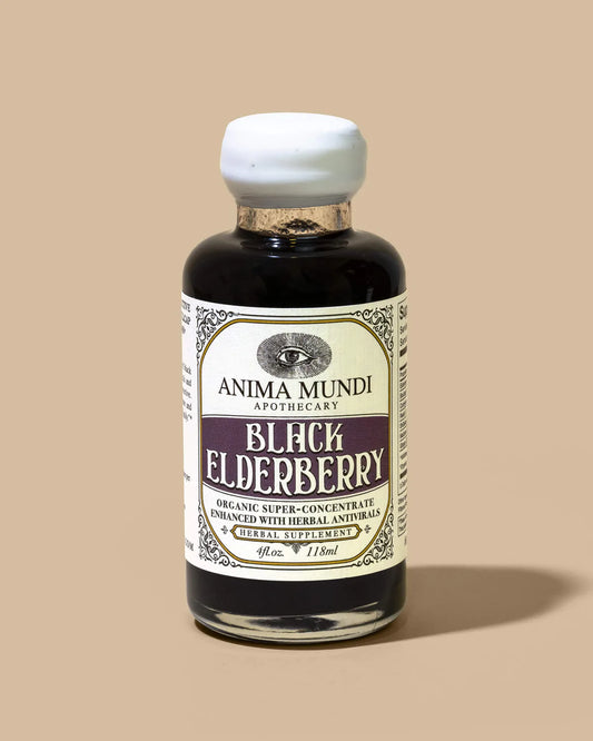 Black elderberry syrup | vegan + organic antivirals